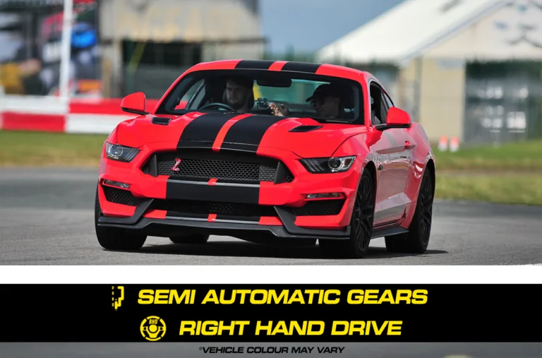 Ford Mustang GT 5.0
